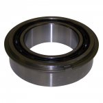 Input Shaft Bearing