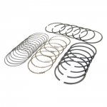 Piston Ring Set (020)