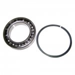 Input Shaft Bearing