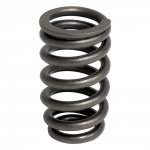 Valve Spring