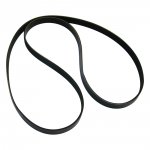 Serpentine Belt