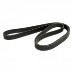 Accessory Drive Belt