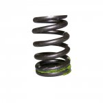 Valve Spring