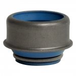 Valve Seal