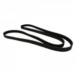 Serpentine Belt