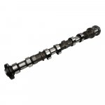 Camshaft (Left Exhaust)