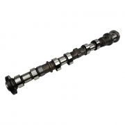 Camshaft (Left Exhaust)