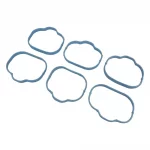 Intake Manifold Gasket Set (Lower)