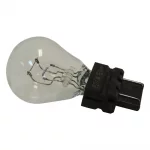 Bulb (T3157)