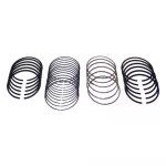 Piston Ring Set (Std)