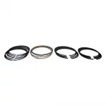 Piston Ring Set (Std)