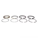 Piston Ring Set (Std)