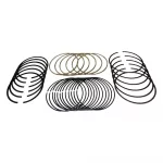 Piston Ring Set (Std)