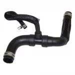 Radiator Hose (Lower)