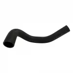 Radiator Hose (Lower)