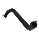 Radiator Hose (Lower)