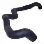 Radiator Hose (Lower-Outlet)