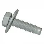 Screw & Washer