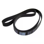 Serpentine Belt (Accessory Drive)