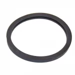 Thermostat Gasket