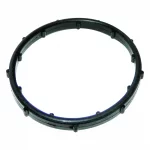 Thermostat Seal