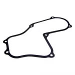 Timing Cover Gasket