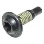 Torx Head Bolt