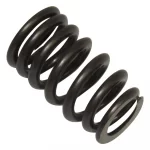 Valve Spring