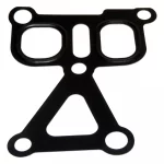 Water Pump Gasket