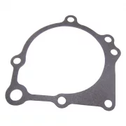 Water Pump Gasket