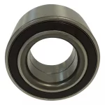 Wheel Bearing (Rear)